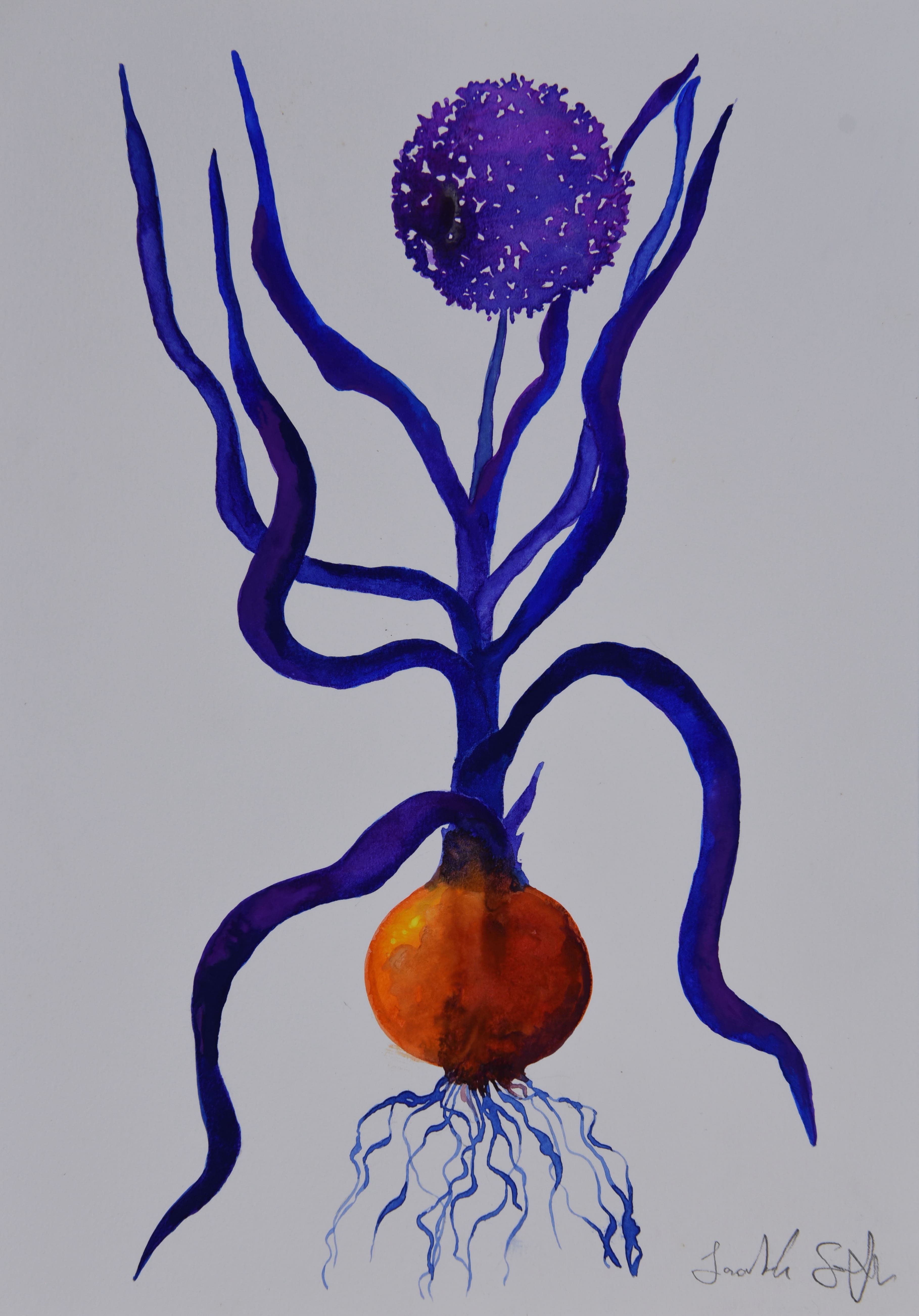 Obra 19 - Cebola